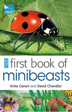 RSPB First Book Of Minibeasts